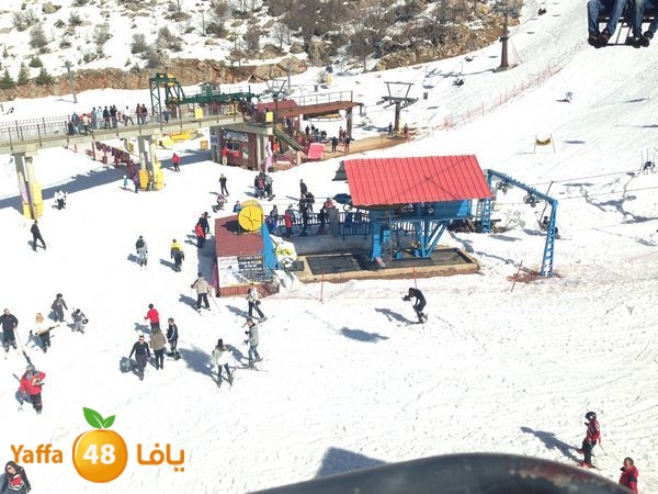 jabalelskheikhlud (5).JPG